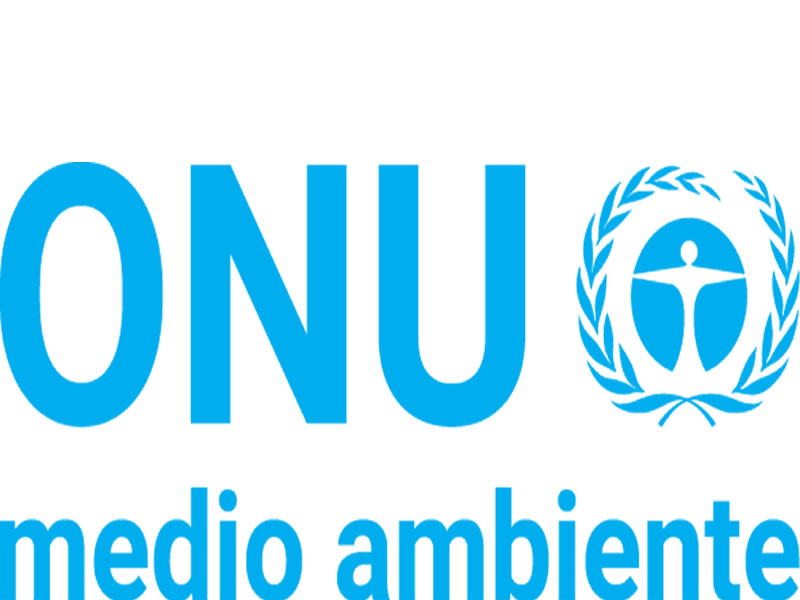 Día Mundial del Medio Ambiente, en 2020 el tema es la biodiversidad