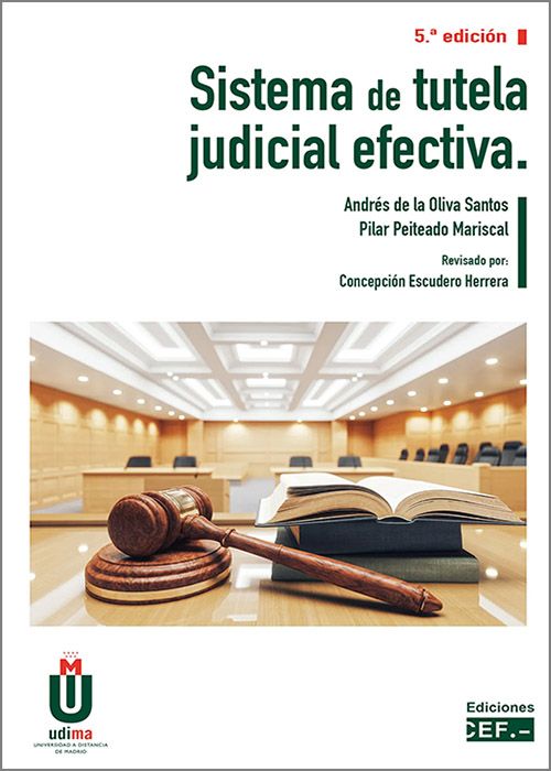 Sistema de tutela judicial efectiva