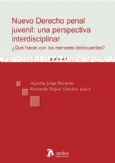 Nuevo Derecho Penal Juvenil: una perspectiva interdisciplinar