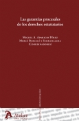 Las garantías procesales de los derechos estatutarios