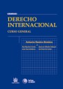 Derecho Internacional. Curso general