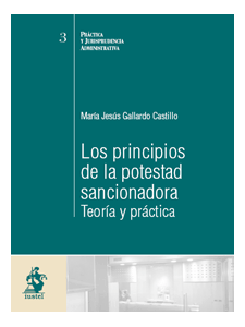 Los principios de la potestad sancionadora