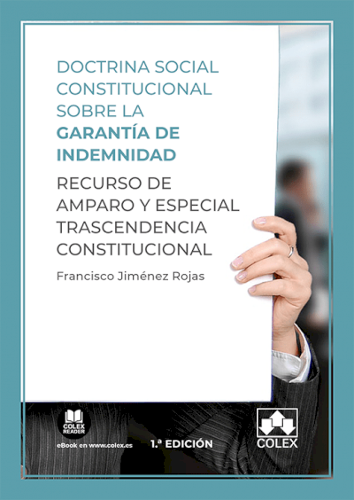  Doctrina social constitucional sobre la garantía de indemnidad