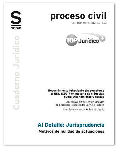 Motivos de nulidad de actuaciones