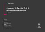 Tomo XXXVI. Esquemas de Derecho Civil III. Derechos reales. Derecho registral