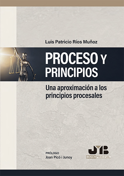 Proceso y Principios