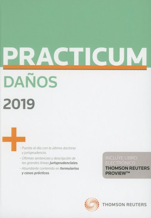 Practicum Daños 2019
