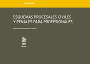 Esquemas procesales civiles y penales para profesionales. Tomo XLVII