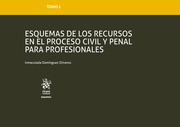 Esquemas de los Recursos en el Proceso Civil y Penal para Profesionales