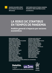 La Rebus Sic Stantibus en Tiempos de Pandemia: Análisis General e Impacto por Sectores Económicos