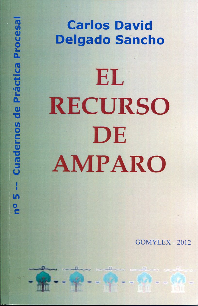 El recurso de amparo