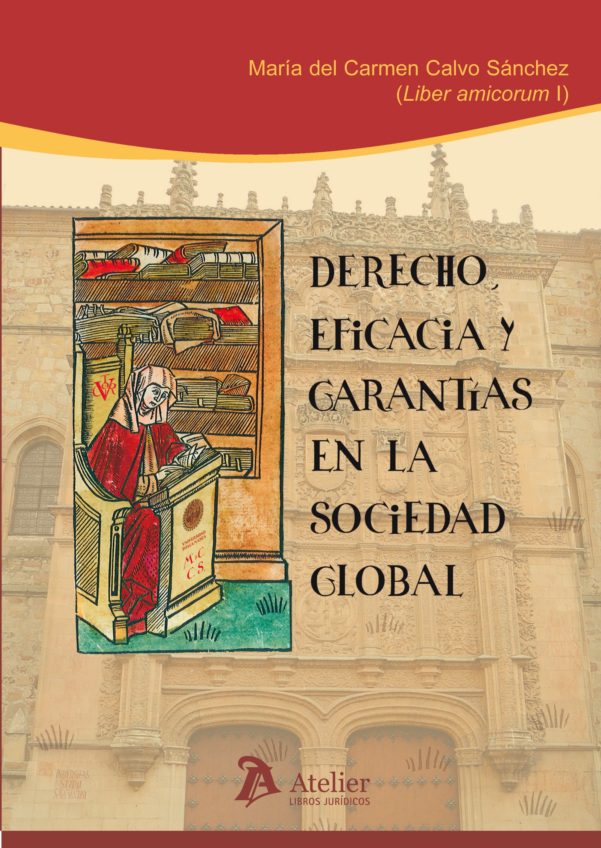 Derecho, eficacia y garantías en la sociedad global.