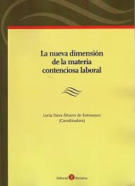 La nueva dimensión de la materia contenciosa laboral
