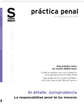 La responsabilidad penal de los menores 