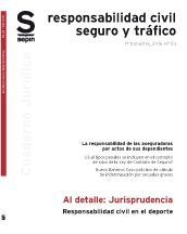 Responsabilidad civil en el deporte