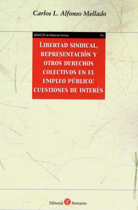 Libertad sindical, representación y otros derechos colectivos en el empleo público: cuestiones de interés
