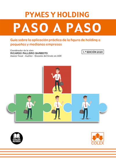 Pymes y Holding. Guía sobre la aplicación práctica de la figura de holding a pequeñas y medianas empresas