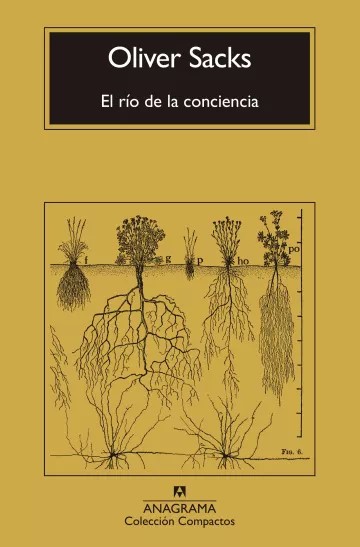 El río de la conciencia