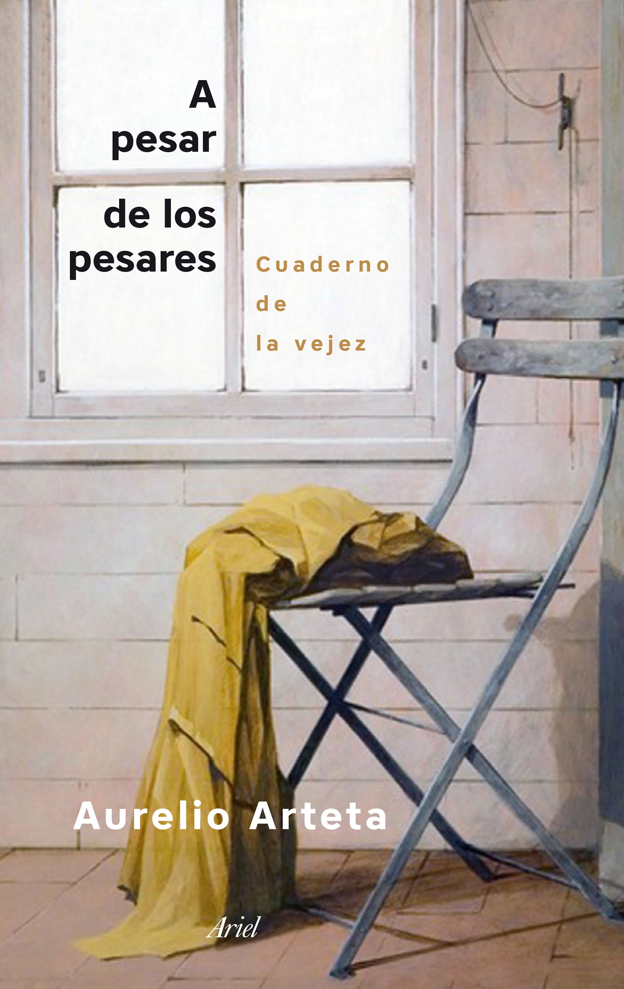 A pesar de los pesares. Cuaderno de la vejez