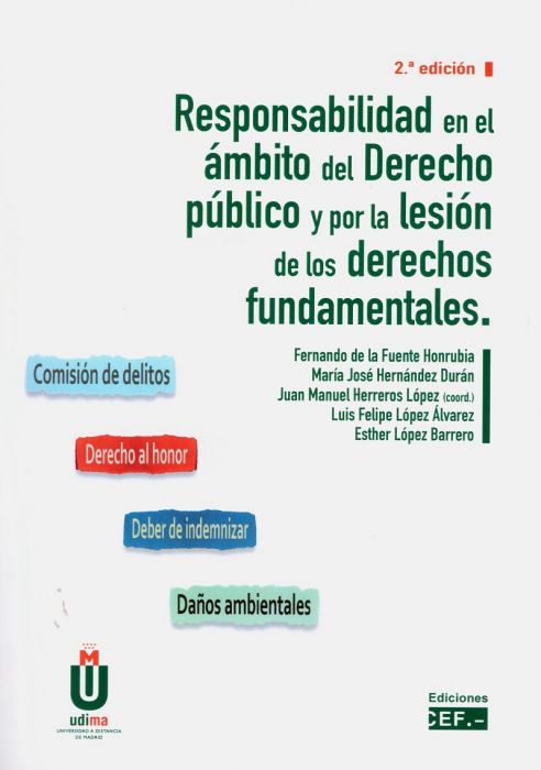 Responsabilidad en el ámbito del derecho público y por la lesión de los derechos fundamentales