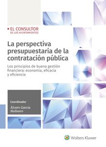La perspectiva presupuestaria de la contratación pública