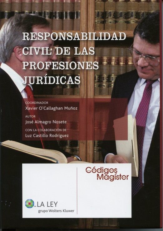 Responsabilidad civil de las profesiones jurídicas