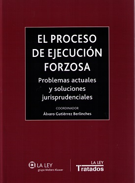 El proceso de ejecución forzosa