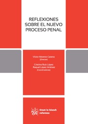 Reflexiones sobre el nuevo Proceso Penal