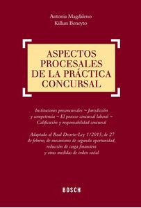 Aspectos procesales de la práctica concursal