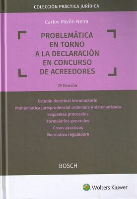 Problemática en torno a la declaración en concurso de acreedores