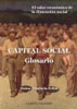 Capital Social. Glosario