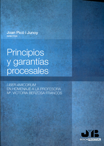 Principios y garantías procesales