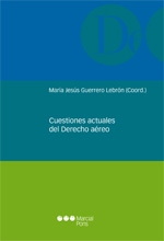 Cuestiones actuales del Derecho aéreo