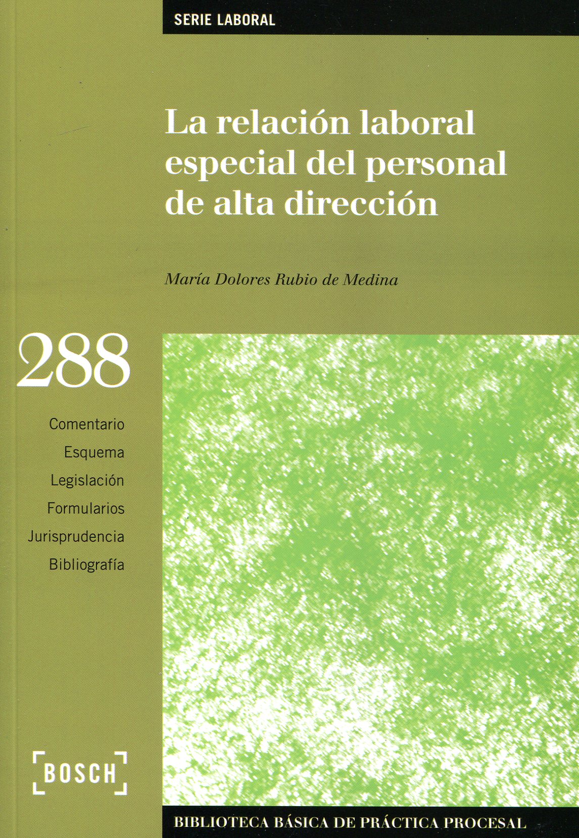 La relación laboral especial del personal de alta dirección