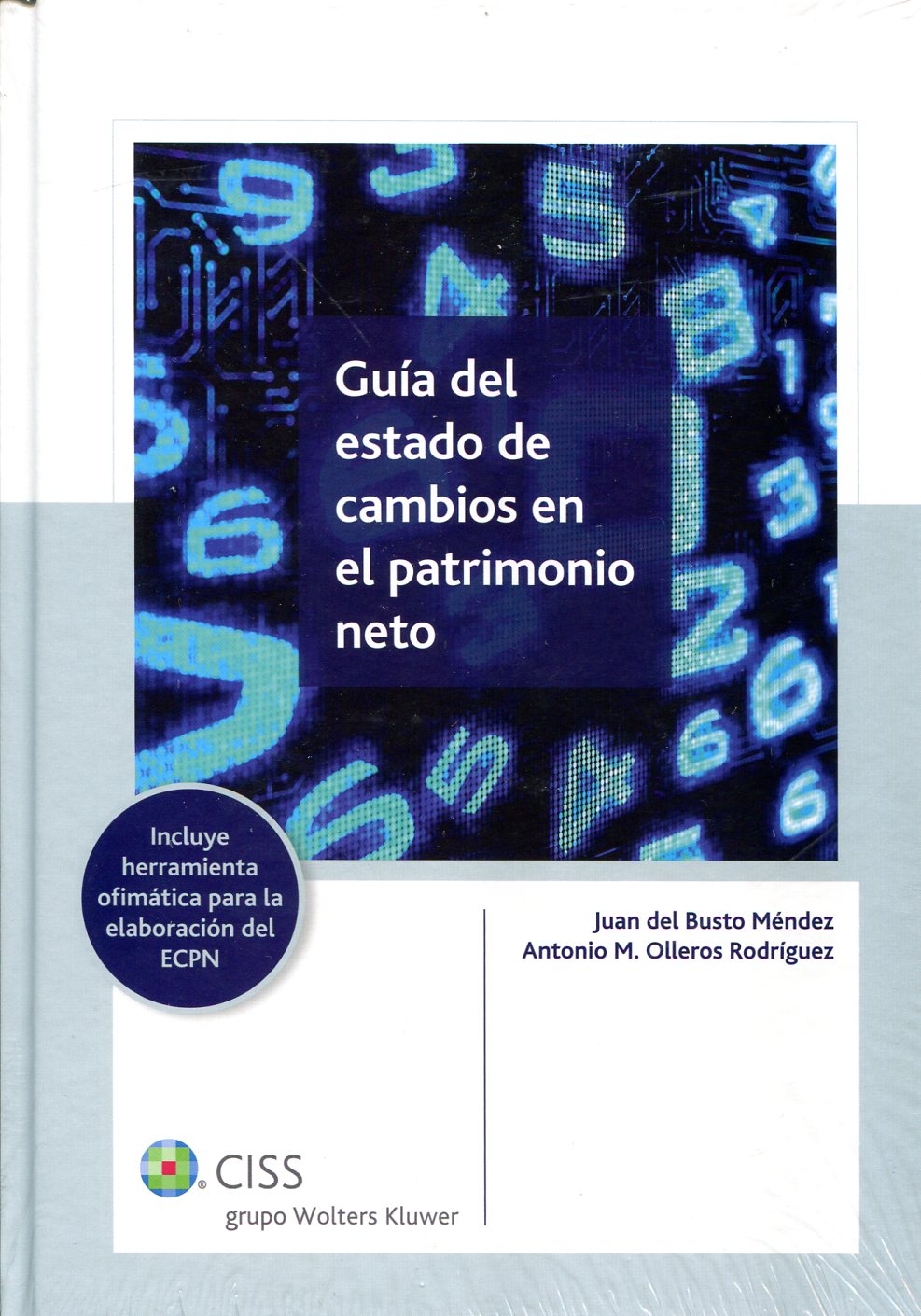 Guía del estado de cambios en el patrimonio neto