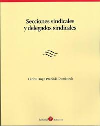 Secciones sindicales y delegados sindicales. 9788515923892
