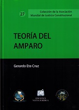 Teoría del amparo