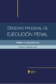 Derecho procesal de ejecución penal. Tomo 1. Fundamentos
