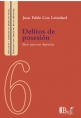 Delitos de posesión. Base para una dogmática