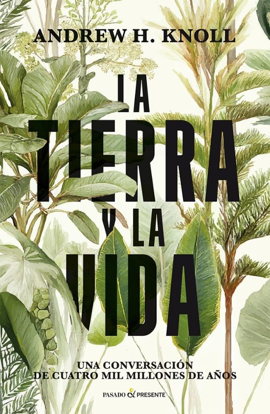 La tierra y la vida