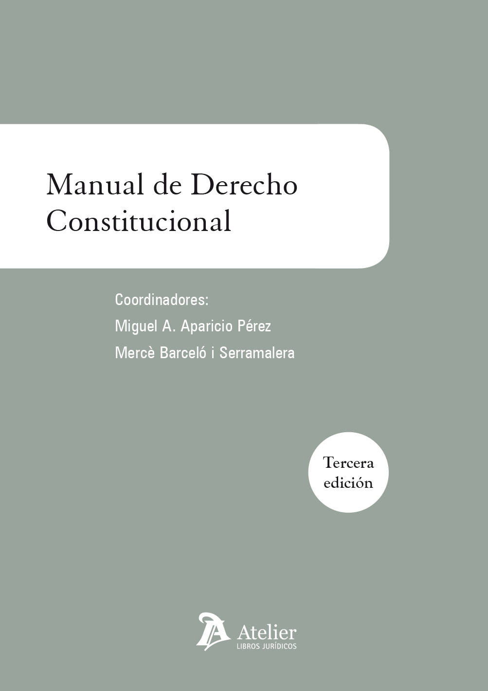 Manual de derecho constitucional. 9788416652228