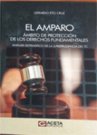 El amparo. Ámbito de protección de los derechos fundamentales