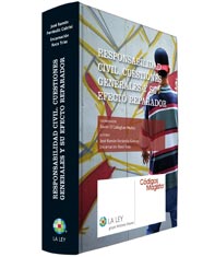 Responsabilidad Civil. Cuestiones Generales y su Efecto Reparador