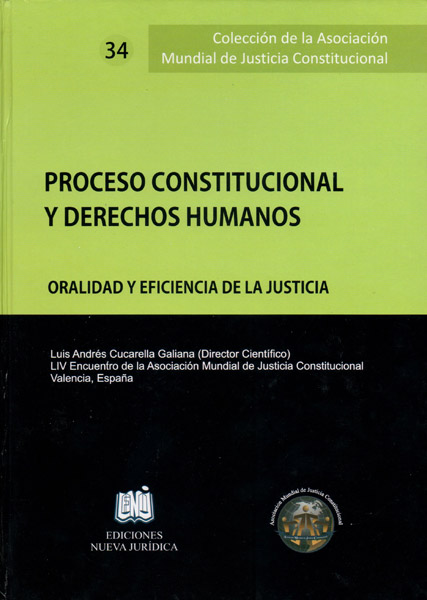 Proceso constitucional y Derechos Humanos