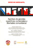 Apertura grandes superficies comerciales y libertades comunitarias