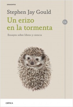 Un erizo en la tormenta