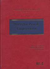 Derecho Penal Empresario