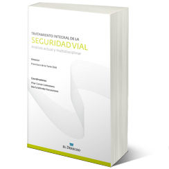 Tratamiento Integral de la Seguridad Vial
