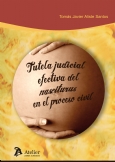 Tutela judicial efectiva del nasciturus en el proceso civil