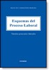 Esquemas del Proceso Laboral. Trámites procesales laborales